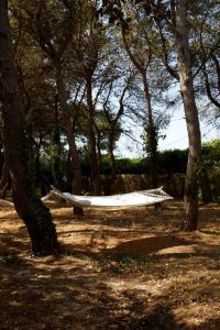 TrendAlert 30 Petra Country House: the perfect retreat for those who cherish peace, beauty, and authenticity