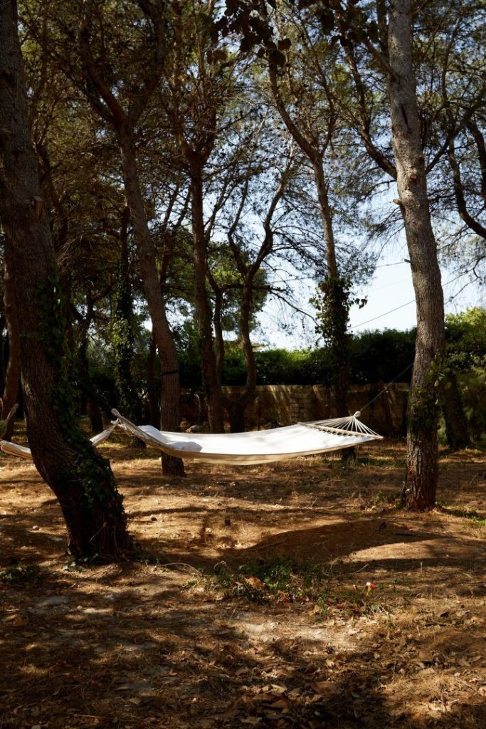 Petra Country House: the perfect retreat for those who cherish peace, beauty, and authenticity