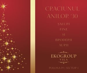 TrendAlert 19 Eko Group Vila: O Călătorie Eleganta în Crăciunul Anilor '30